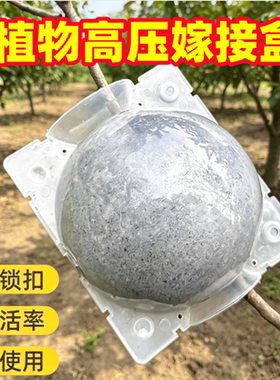 植物高压繁殖盒扦插嫁接盒