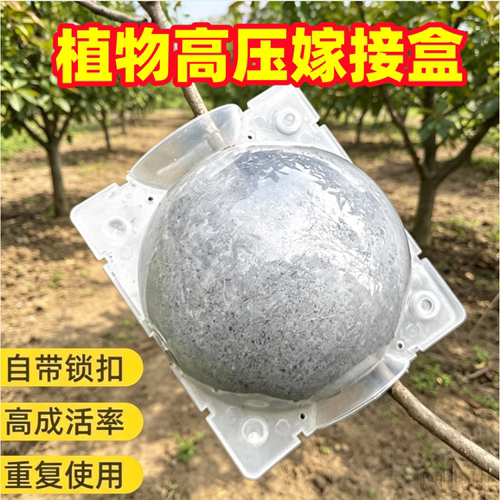 植物高压繁殖盒扦插嫁接盒