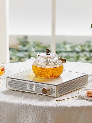 Dual电陶炉围炉煮茶家用高端泡茶专用迷你煮茶炉小型烧茶炉煮茶器