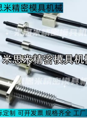 30度梯形RMTSWKA25-691-F13-R15-T48-Q15-S30-E12-X285丝杠MTSYKA