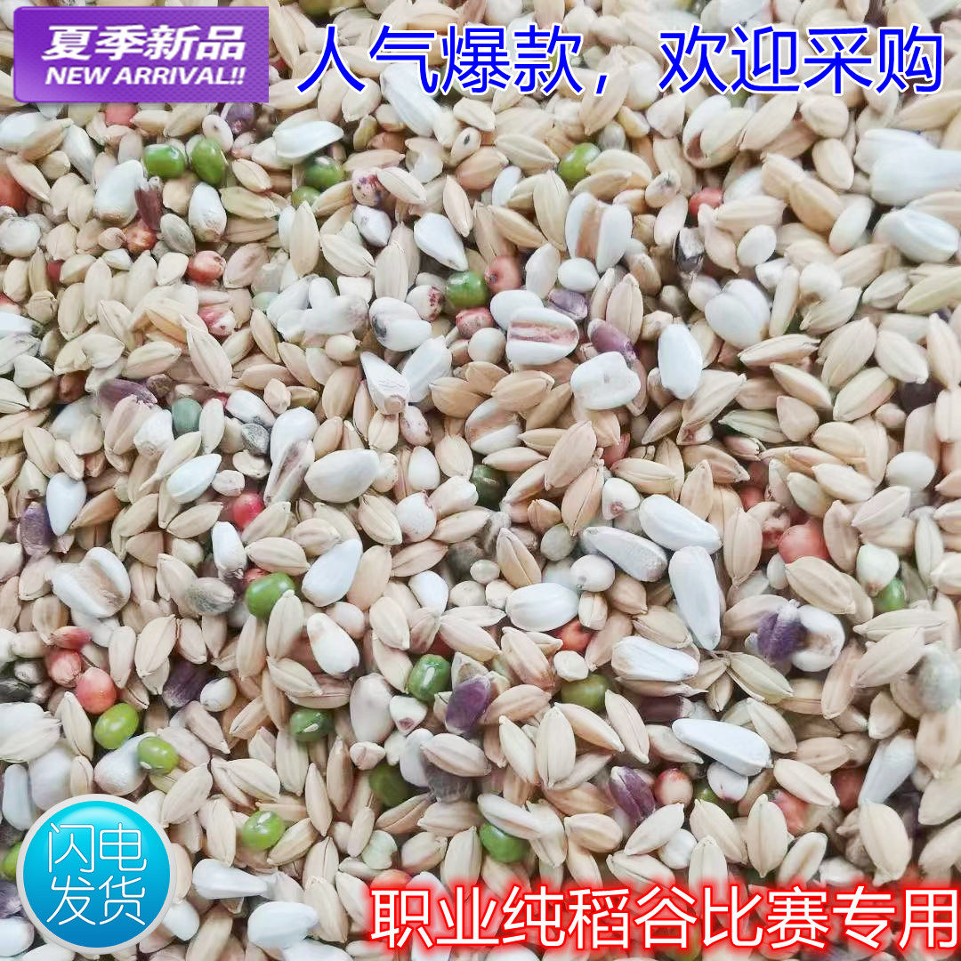 枭龙新品纯稻谷鸽粮赛鸽信鸽鸟饲鸟食