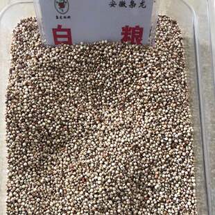 枭龙鸽粮电脑色选杂粮高营养白高粱小料鸽粮鸟食江浙沪皖包邮50斤