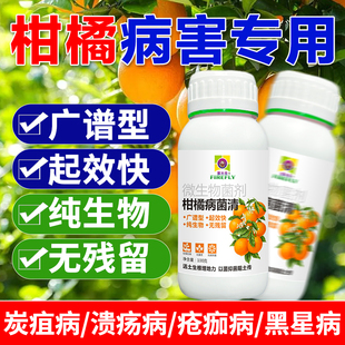 柑橘病菌清正品微生物菌剂橘子柚子脐橙金桔柠檬丑桔溃疡流胶炭疽