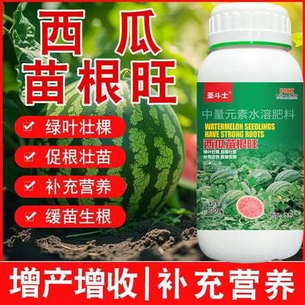 西瓜苗根旺爆根旺提高西瓜坐果膨大果实生根壮苗增香增甜水溶肥料