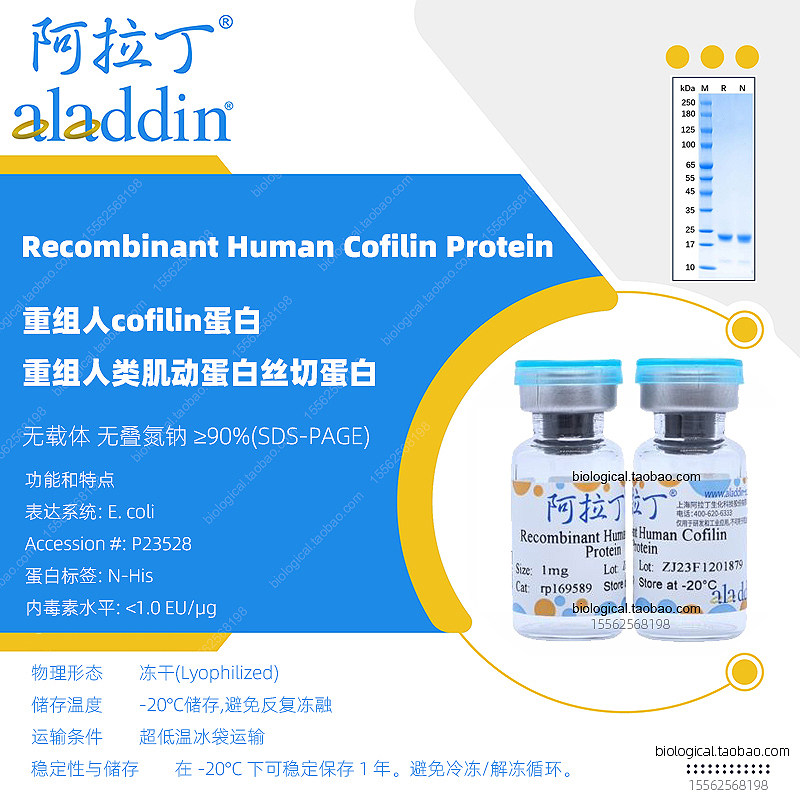 阿拉丁生物试剂 重组人蛋白 Recombinant Human Cofilin Protein - 实物图