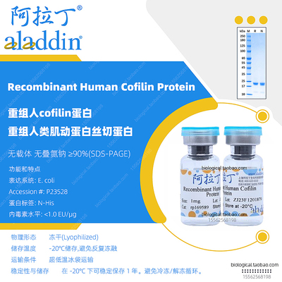 阿拉丁生物重组人Cofilin蛋白