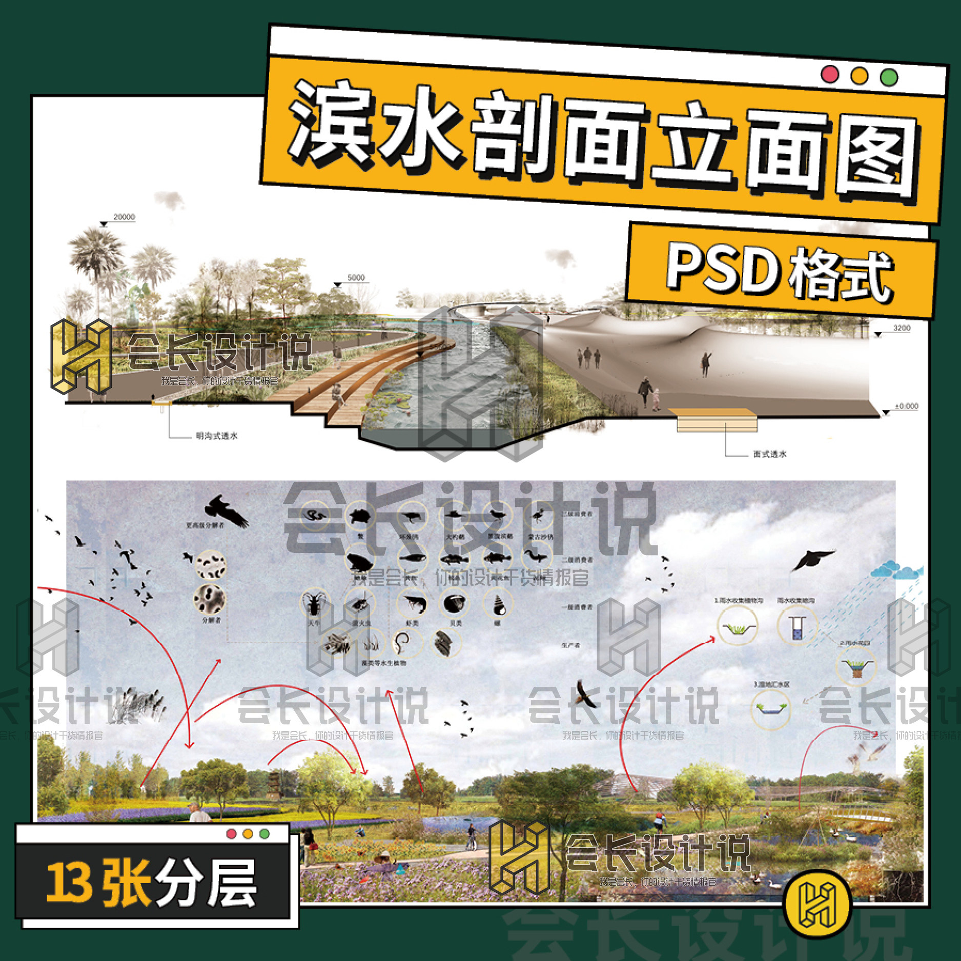 滨水景观剖面剖透视图psd分层素材 剖岸分析 滨水环湖湿地公园