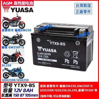 适用铃木骊驰GW250F/S DL250 GSX250 GSX250R原装电瓶YTX9-BS电池