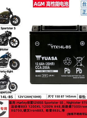 哈雷1250SS X48 X350 X500 Nightster 975夜行者1200XL电瓶蓄电池