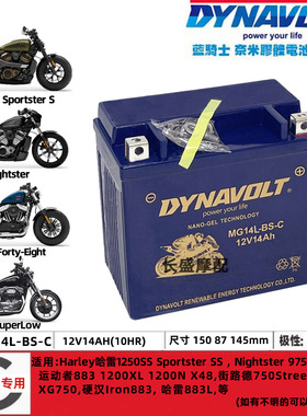 适用哈雷Sportster SS 883 1200XL X48街路德750电瓶蓄电池YTX14L