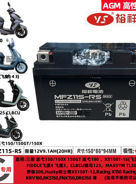 三阳FNX150(XS150T-2B-2A-8飞度XS125T-16C-10蜂鸟TINI电瓶蓄电池