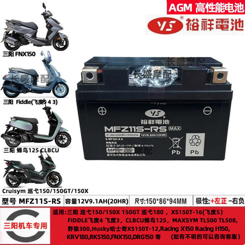 三阳FNX150(XS150T-2B-2A-8飞度XS125T-16C-10蜂鸟TINI电瓶蓄电池