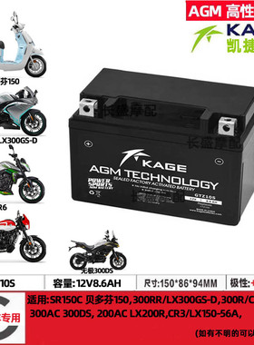 隆鑫GP150 250无极200R 300AC/RR CR3 LX150-56-56A-59电瓶蓄电池