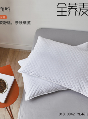 云龙家纺X20076梦觅白色40棉斜纹2500g荞麦皮绗绣澳枕1件套