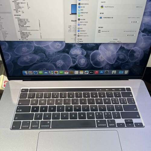 可维修MacBook Pro 2019 16寸下半部议价