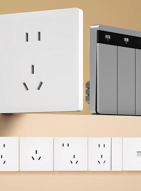 领普E2Lite系列配套插座正五孔斜五孔三孔网线一单开五孔86型面板