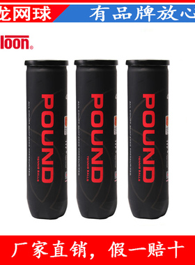 天龙比赛网球POUND冲击波 Q1中级高级专业耐打训练网球罐装