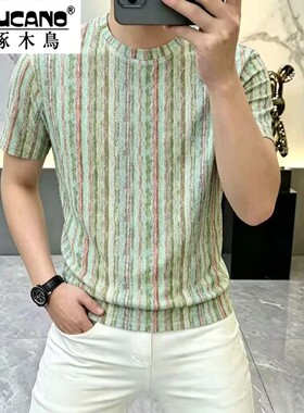 啄木鸟复古条纹短袖T恤男士夏季百搭圆领个性半袖体恤时尚上衣潮