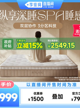 雅兰双层弹簧高端床垫深睡SPA
