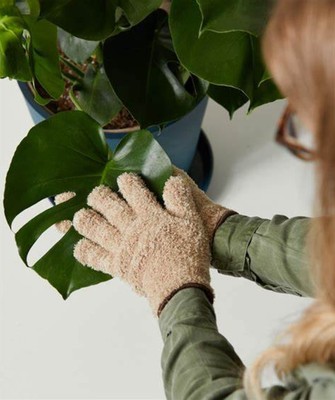 绿植摆件清洁擦拭家务除尘手套