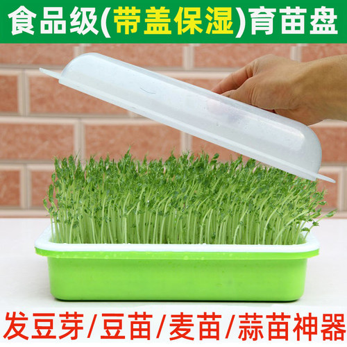 豆芽发芽神器育苗盘水培蔬菜