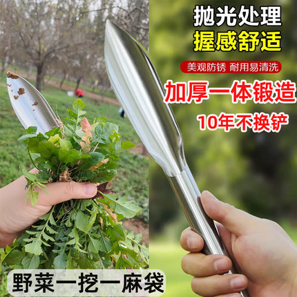 不锈钢小铲子挖土养花种花种菜专用工具松土栽苗挖野菜神器园艺