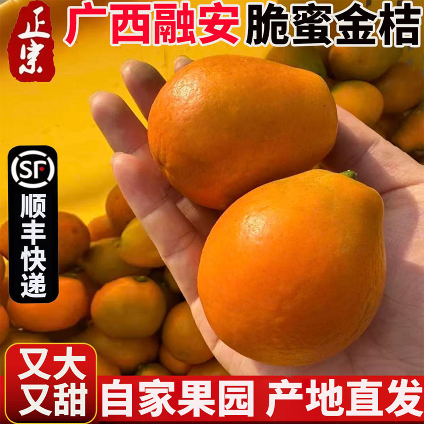 【顺丰包邮】融安第三代脆蜜金柑