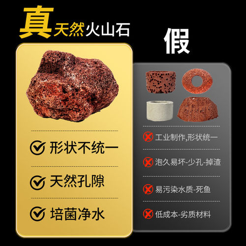 水草植物鱼缸造景摆件水培植物蜈蚣增氧火山石全套小鱼缸水草