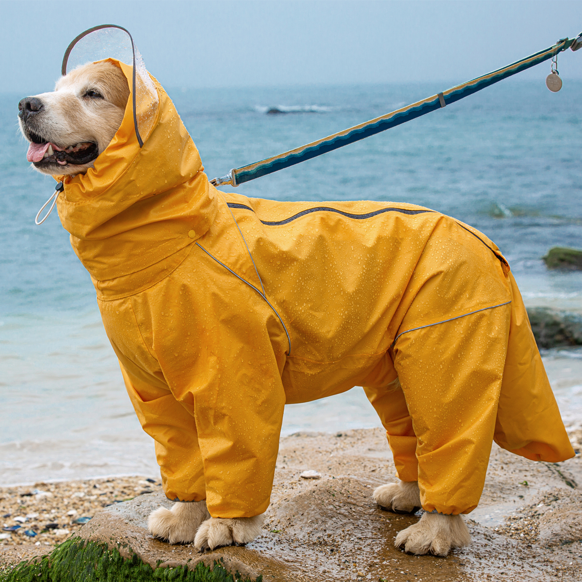 宠物雨披中大型犬雨衣边牧阿拉斯加大狗雨衣四脚全包压胶防水雨具