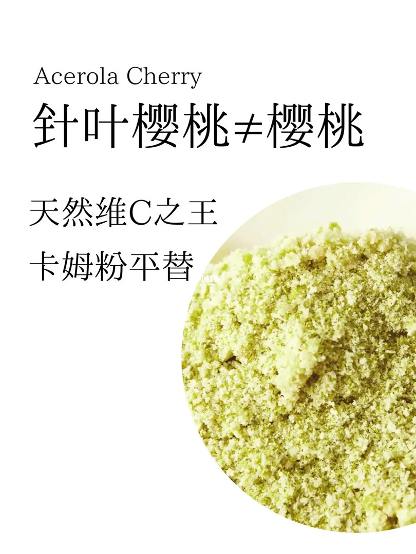巴西进口天然针叶樱桃粉维生素c增强免疫抗氧化vc胶原肽伴侣小样