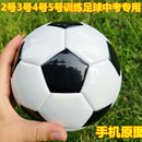 3岁宝宝足球2号环保进口PU足球 2号小皮球儿童婴幼儿园足球1 包邮