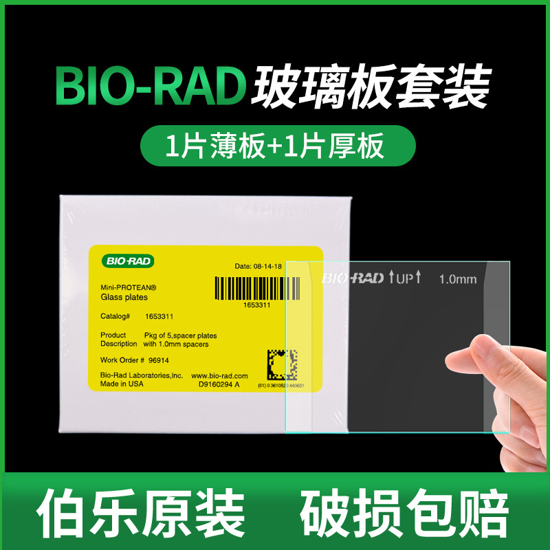 伯乐Bio-Rad电泳玻璃短板WB电泳厚玻璃板长板垂直制胶跑胶western