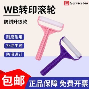 赛维尔转膜滚轮滚筒wb实验专用滚轮 塑料材质不生锈 转膜气泡滚子