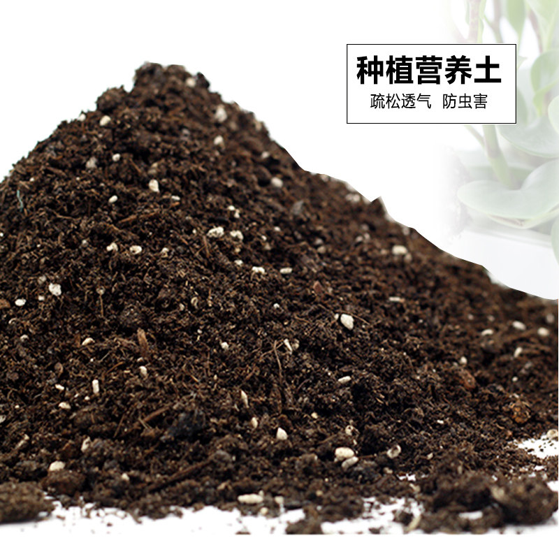 通用型有营养机土种花土家用养花泥炭土种菜花泥土壤种植土盆栽