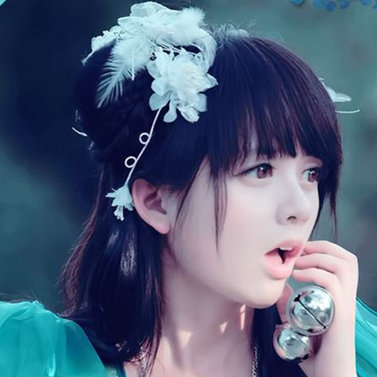 Extension cheveux - Chignon - Ref 237517 Image 5