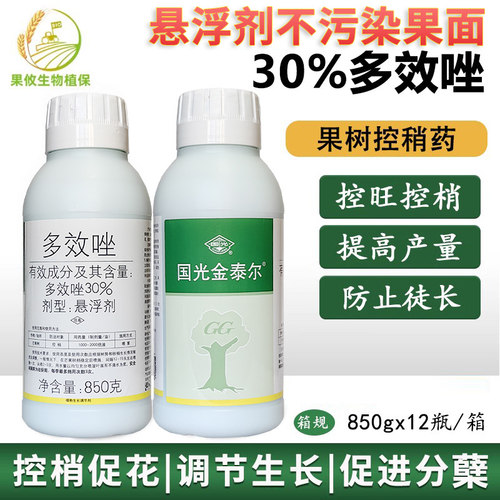 国光金泰尔多效唑悬浮剂防徒长