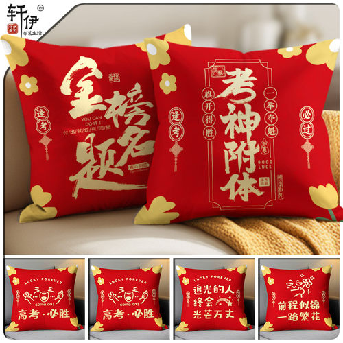 中考高考加油百日誓师抱枕逢考必过锦鲤靠垫金榜题名礼物文昌礼品