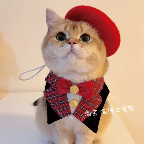 宠物猫咪狗狗英伦学院风口水巾