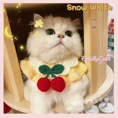 猫咪围脖樱桃铃铛蝴蝶结花朵项圈脖套围脖可爱宠物狗狗针织围巾