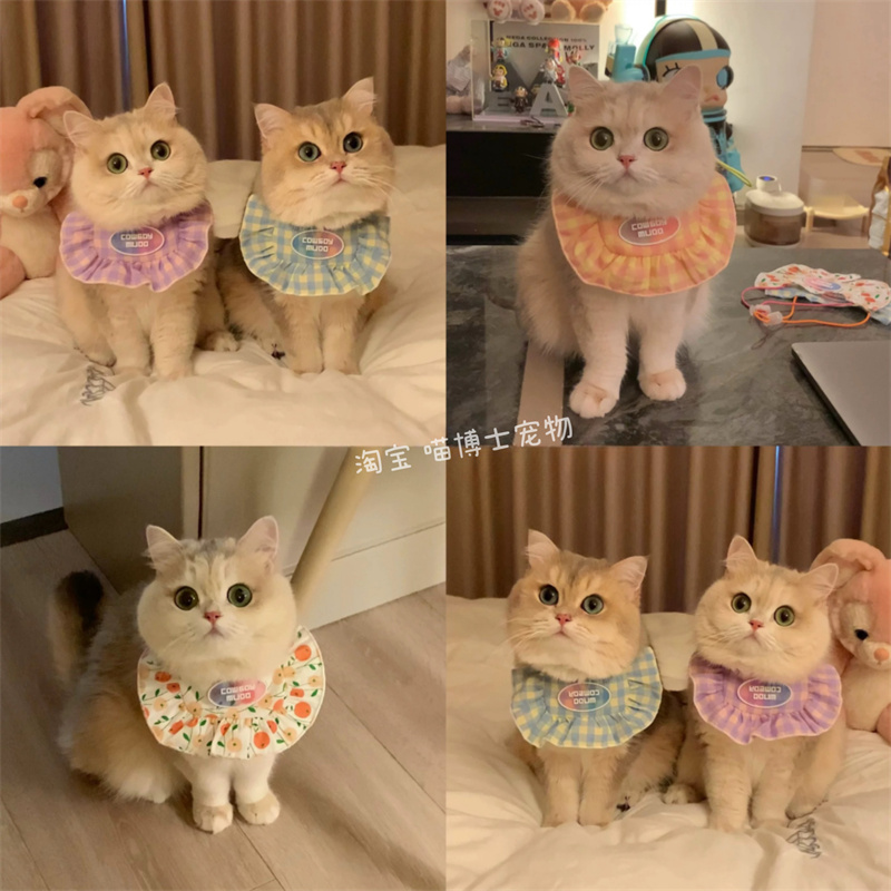 猫咪围脖口水巾宠物围兜项围巾