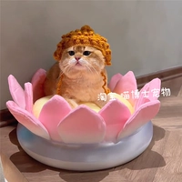 Коричневая шапка