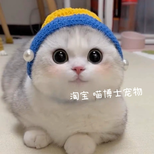 Шляпа трансформации домашних животных, собака, собака лягушка для кошки цветочниковая горничная набор горничной 痞 痞 痞 痞 痞 痞