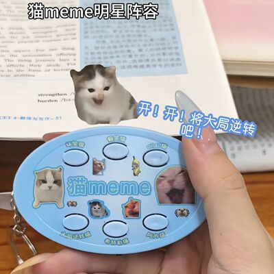 小红书同款名梗猫解压挂件