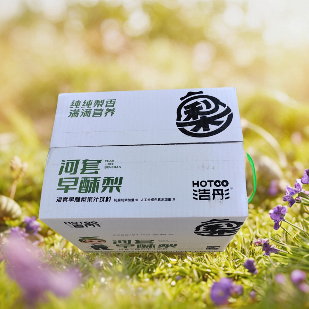 浩彤早酥梨汁天然果蔬汁