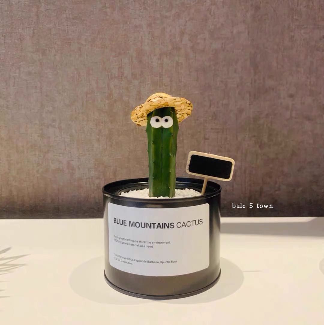 ins北欧工业风多肉植物铁罐金属罐防辐射仙人掌办公室摆设小盆栽,鲜花速递/花卉仿真/绿植园艺,多肉植物,淘宝优惠券,粉丝福利购,淘宝优惠卷