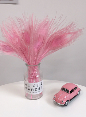 ins粉色房间可爱风背景孔雀羽毛