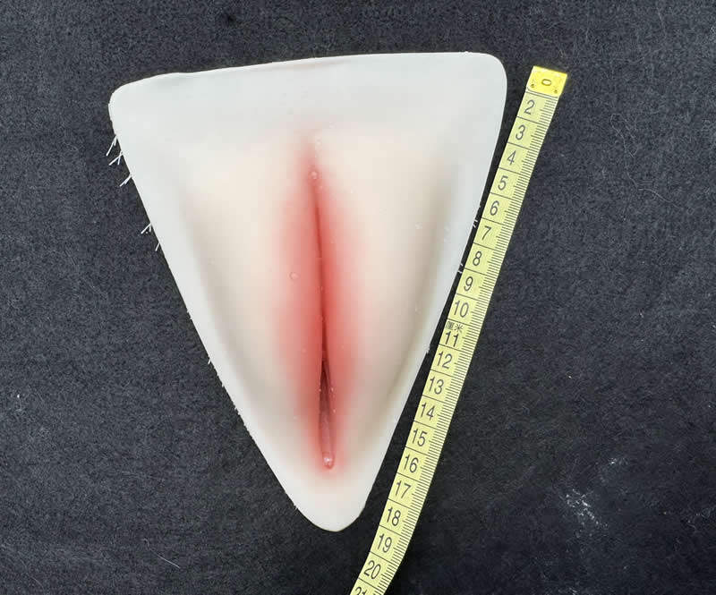 苾美 硅胶款 性感内裤CD变装鲍鱼线