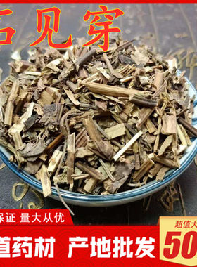 新货石见穿500克包邮中药材紫参