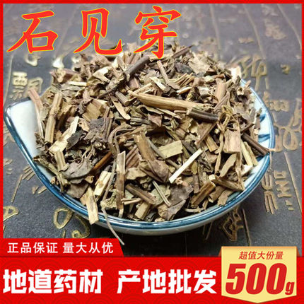 新货石见穿500克包邮 中药材 紫参 月下红 中草药 另有石打穿