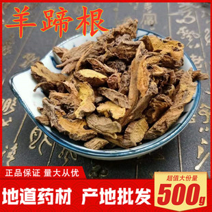 羊蹄根500克包邮新货无硫土大黄牛西西中药材洋铁叶根野大黄打粉